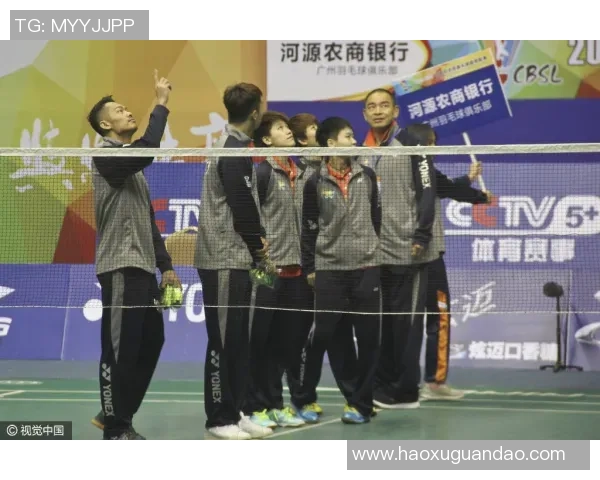 上海羽毛球队力量争议引发热议球迷与专家的不同声音解析