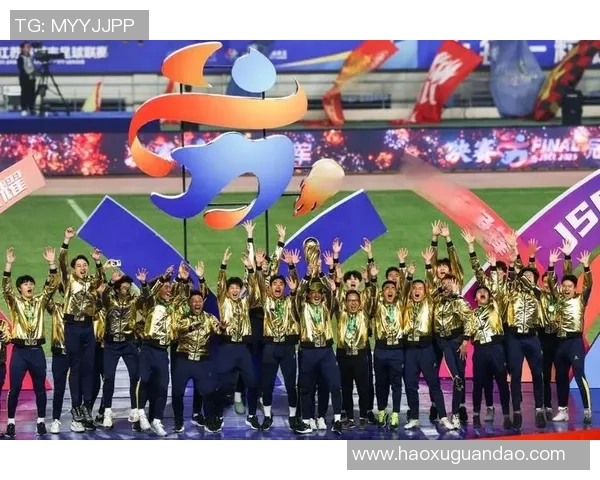 杭州排球队逆袭之路揭秘冠军赛背后的奋斗与荣耀